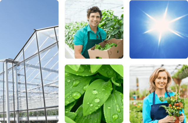 Greenhouse Anti-Fog Coated Film Application - FSI Coating Technologies